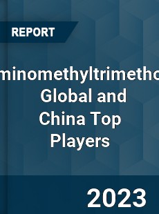 Phenylaminomethyltrimethoxysilane Global and China Top Players Market