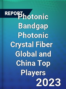 Photonic Bandgap Photonic Crystal Fiber Global and China Top Players Market