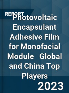 Photovoltaic Encapsulant Adhesive Film for Monofacial Module Global and China Top Players Market