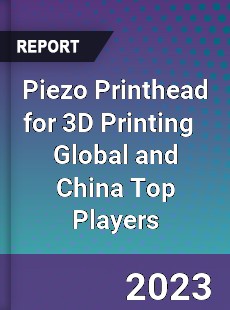 Piezo Printhead for 3D Printing Global and China Top Players Market