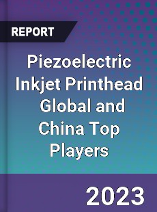 Piezoelectric Inkjet Printhead Global and China Top Players Market