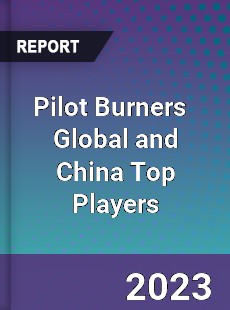 Pilot Burners Global and China Top Players Market