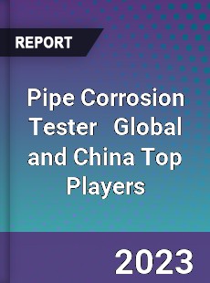 Pipe Corrosion Tester Global and China Top Players Market