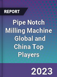 Pipe Notch Milling Machine Global and China Top Players Market