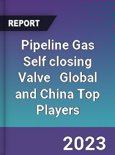 Pipeline Gas Self closing Valve Global and China Top Players Market