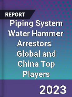 Piping System Water Hammer Arrestors Global and China Top Players Market