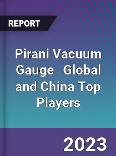 Pirani Vacuum Gauge Global and China Top Players Market