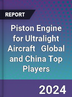 Piston Engine for Ultralight Aircraft Global and China Top Players Market