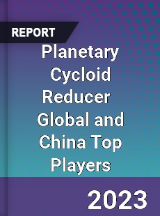 Planetary Cycloid Reducer Global and China Top Players Market