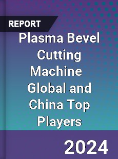 Plasma Bevel Cutting Machine Global and China Top Players Market