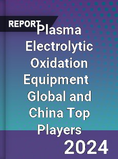 Plasma Electrolytic Oxidation Equipment Global and China Top Players Market