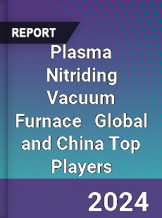 Plasma Nitriding Vacuum Furnace Global and China Top Players Market