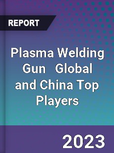 Plasma Welding Gun Global and China Top Players Market