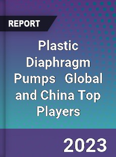 Plastic Diaphragm Pumps Global and China Top Players Market