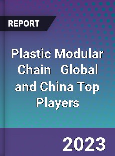 Plastic Modular Chain Global and China Top Players Market