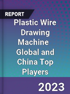 Plastic Wire Drawing Machine Global and China Top Players Market