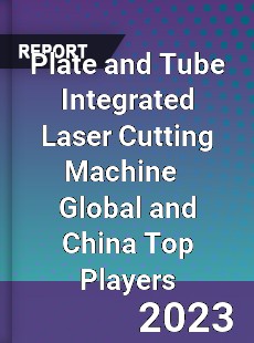 Plate and Tube Integrated Laser Cutting Machine Global and China Top Players Market