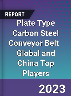 Plate Type Carbon Steel Conveyor Belt Global and China Top Players Market