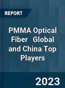 PMMA Optical Fiber Global and China Top Players Market