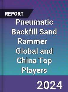 Pneumatic Backfill Sand Rammer Global and China Top Players Market