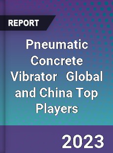 Pneumatic Concrete Vibrator Global and China Top Players Market