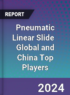 Pneumatic Linear Slide Global and China Top Players Market