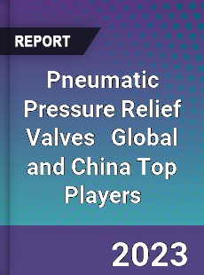 Pneumatic Pressure Relief Valves Global and China Top Players Market