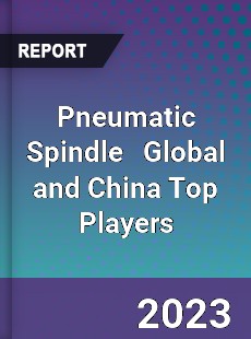 Pneumatic Spindle Global and China Top Players Market