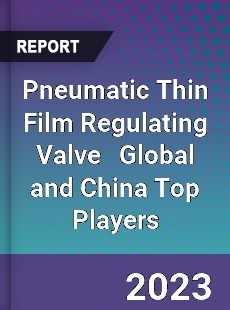 Pneumatic Thin Film Regulating Valve Global and China Top Players Market