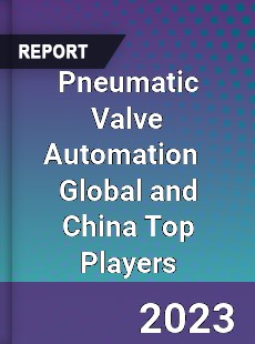 Pneumatic Valve Automation Global and China Top Players Market