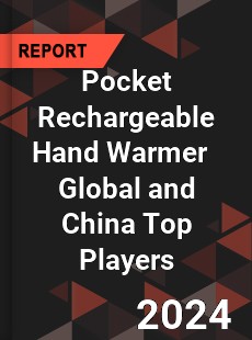 Pocket Rechargeable Hand Warmer Global and China Top Players Market