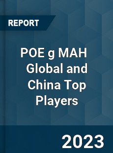 POE g MAH Global and China Top Players Market