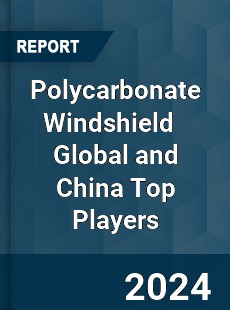 Polycarbonate Windshield Global and China Top Players Market