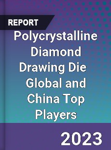 Polycrystalline Diamond Drawing Die Global and China Top Players Market