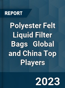 Polyester Felt Liquid Filter Bags Global and China Top Players Market