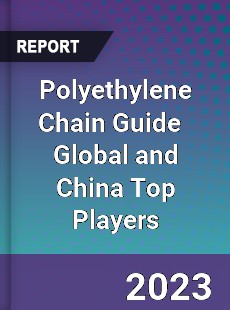 Polyethylene Chain Guide Global and China Top Players Market