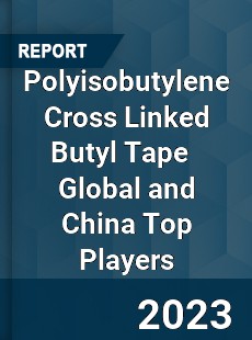 Polyisobutylene Cross Linked Butyl Tape Global and China Top Players Market