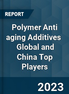 Polymer Anti aging Additives Global and China Top Players Market