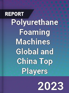 Polyurethane Foaming Machines Global and China Top Players Market