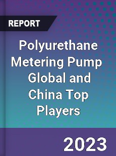 Polyurethane Metering Pump Global and China Top Players Market