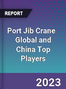 Port Jib Crane Global and China Top Players Market