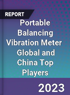 Portable Balancing Vibration Meter Global and China Top Players Market