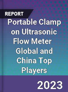 Portable Clamp on Ultrasonic Flow Meter Global and China Top Players Market