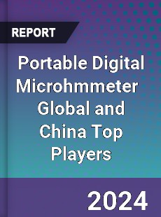 Portable Digital Microhmmeter Global and China Top Players Market