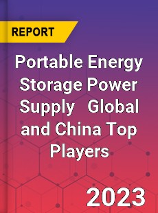 Portable Energy Storage Power Supply Global and China Top Players Market