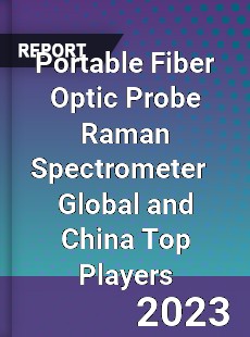 Portable Fiber Optic Probe Raman Spectrometer Global and China Top Players Market