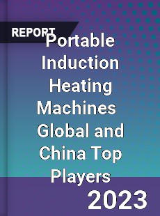 Portable Induction Heating Machines Global and China Top Players Market