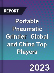 Portable Pneumatic Grinder Global and China Top Players Market