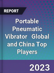 Portable Pneumatic Vibrator Global and China Top Players Market