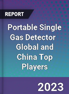 Portable Single Gas Detector Global and China Top Players Market